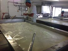 Les étapes de la fabrication du fromage 